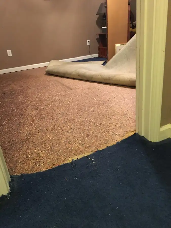 Carpet pad removal revealing water damage during Drying & Dehumidification in EspaÃ±ola